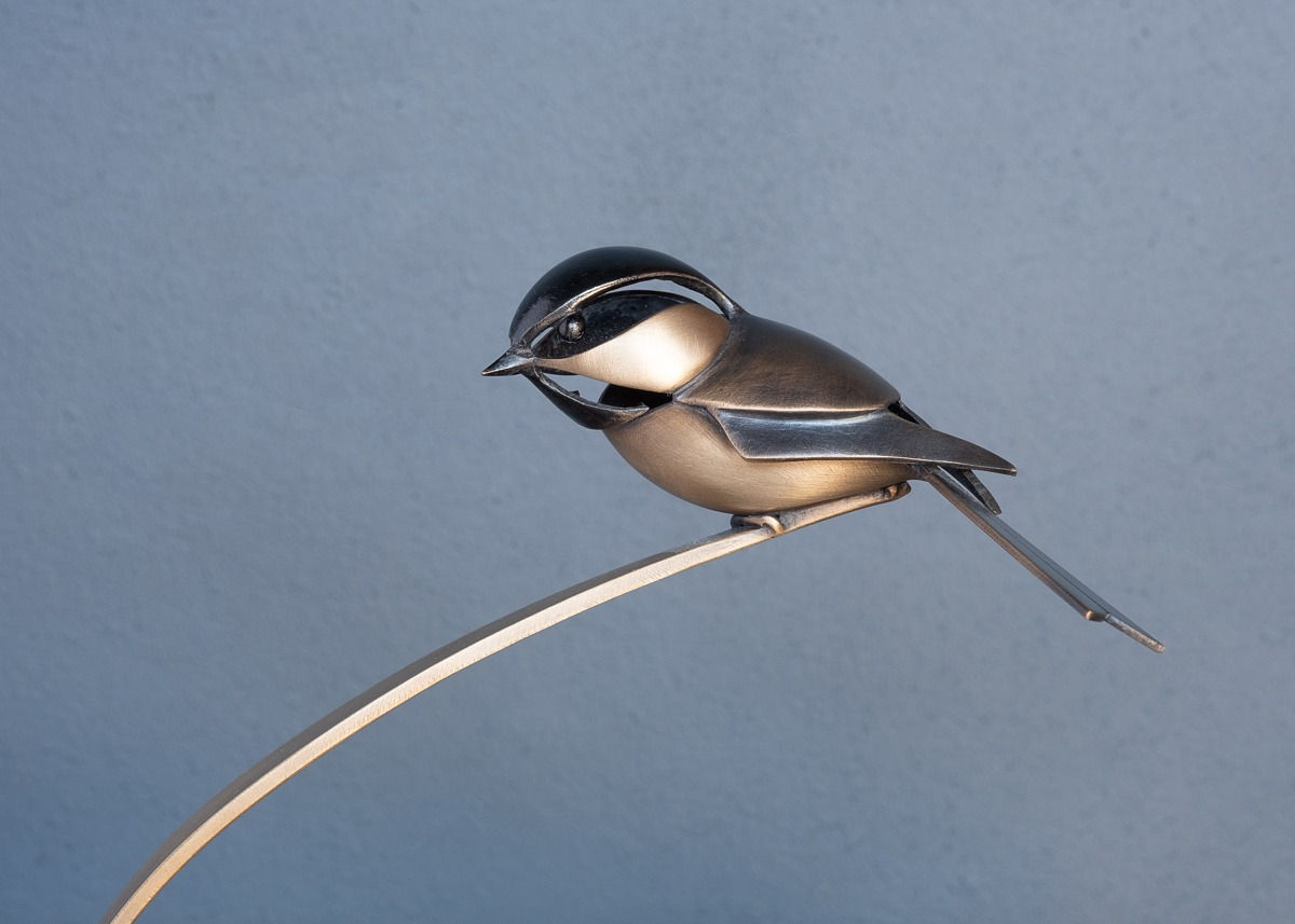 Don Rambadt, Willow Tit, 2021