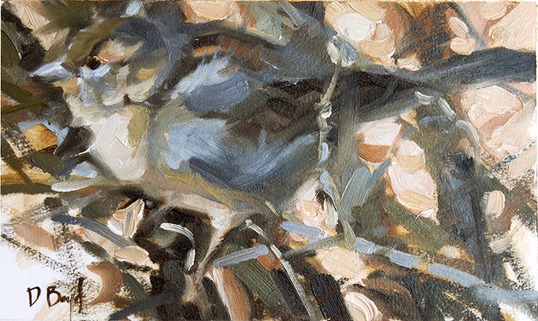 Dennis Boyd, Through the Hedge, 2021