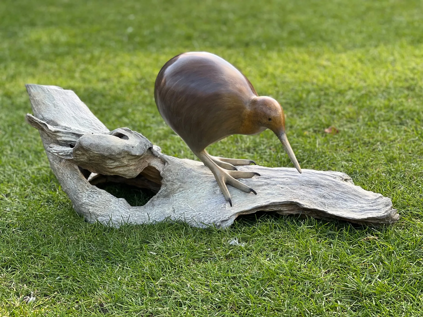 Mark Dedrie, Down Under Kiwi