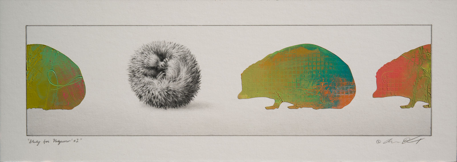 Andrew Denman, Study for 'Hedgerow' #2