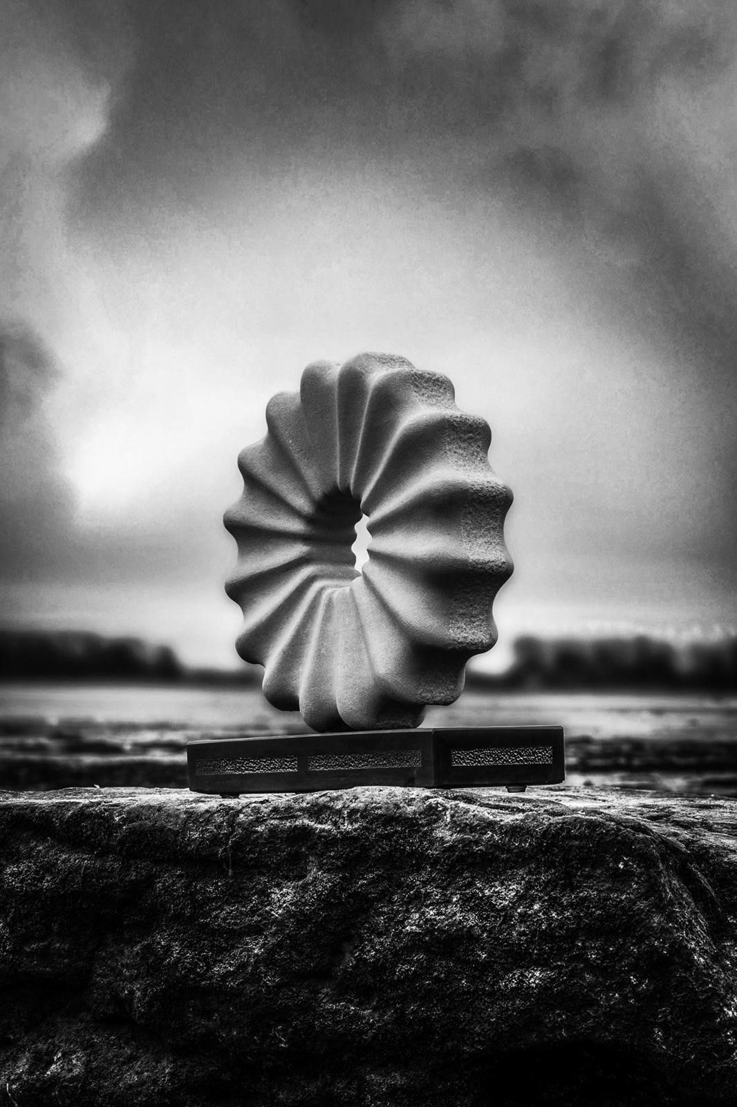 Ray Moseley, Fossil Wreath, 2022