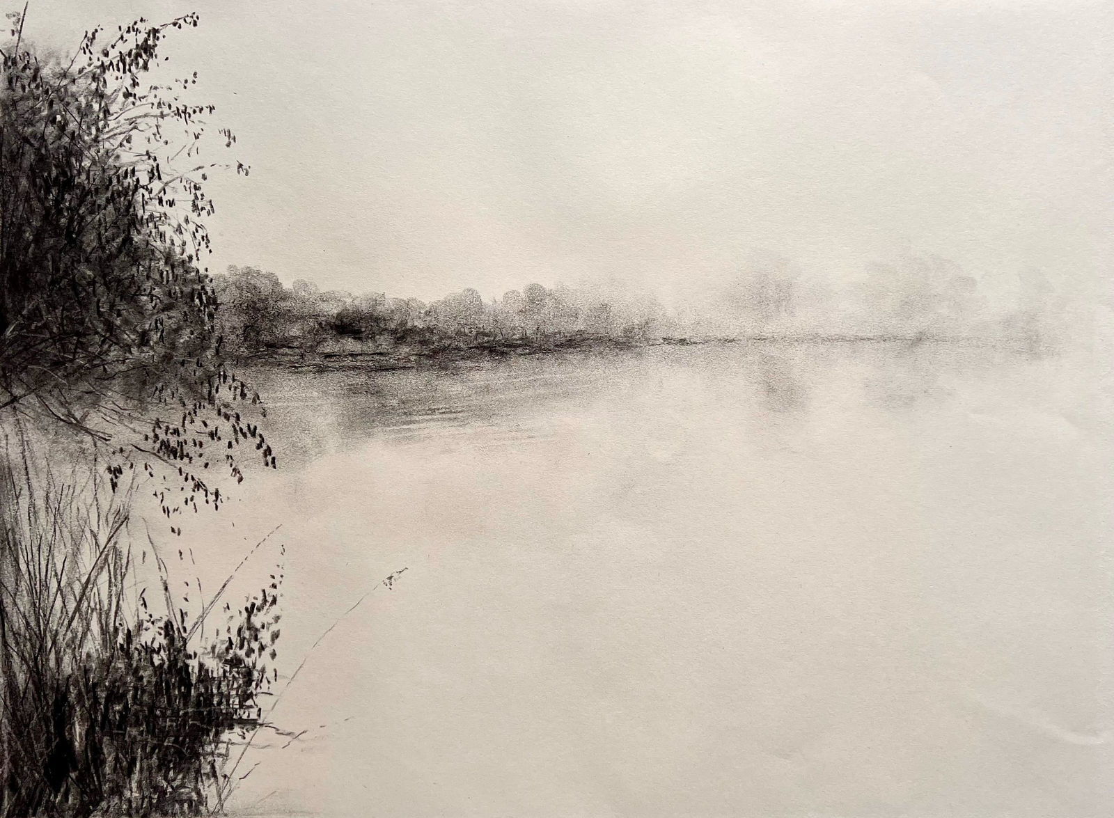 Stephen Bithell, Alder on North Lake, 2023