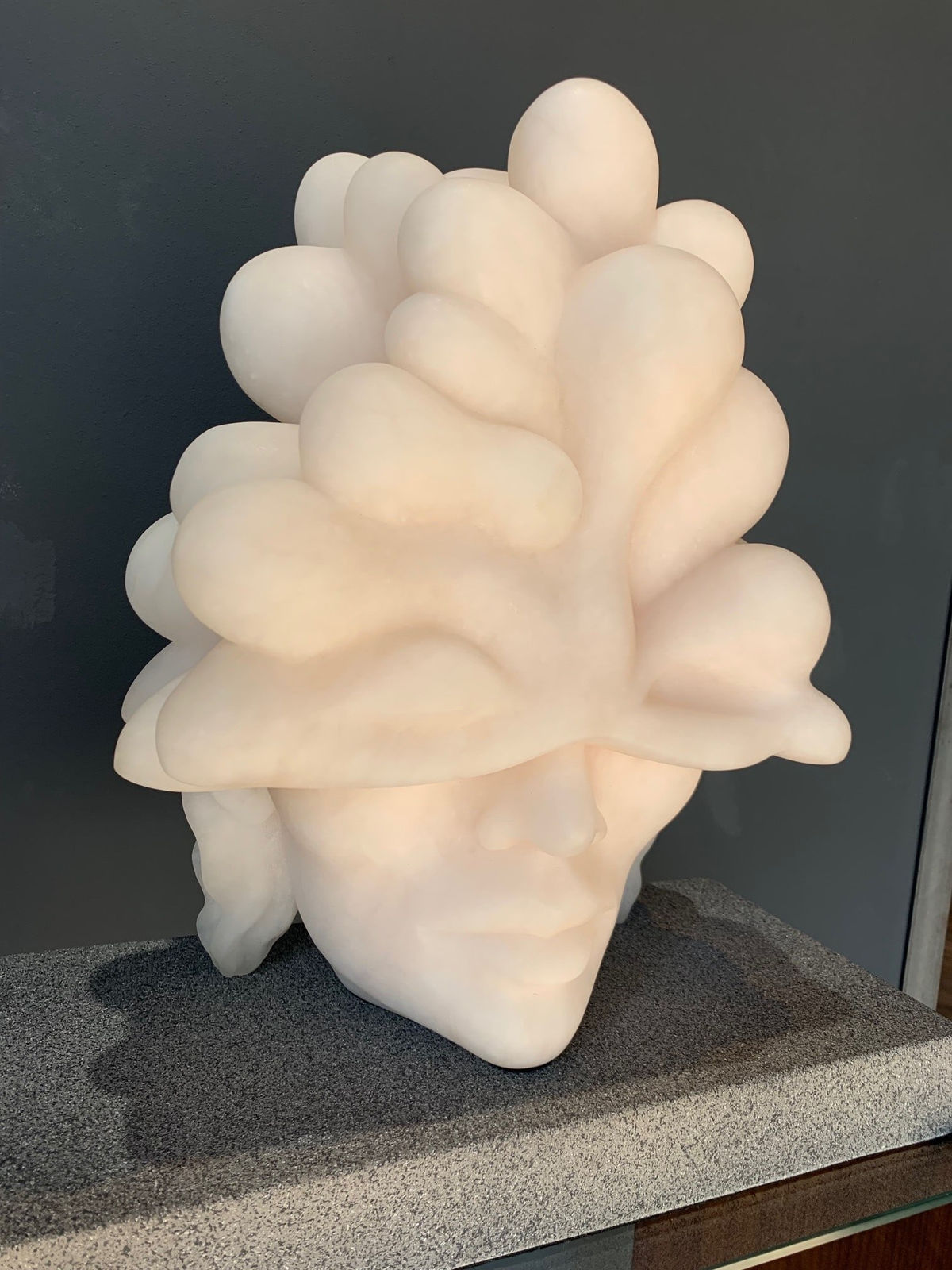 Sasha Constable, Under Cumuli, 2022