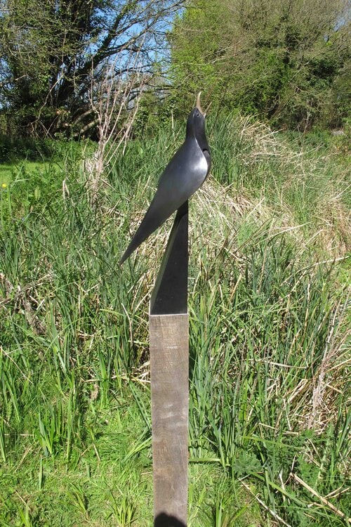 Paul Harvey, Blackbird Singing , 2024