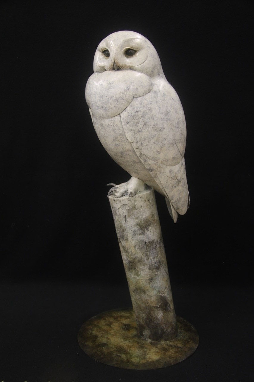Adam Binder, Snowy Owl, 2023