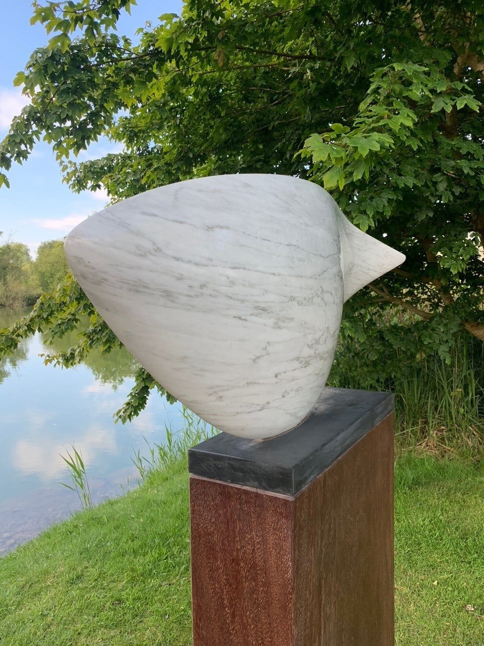 Jonathan Loxley, Pesce, 2022