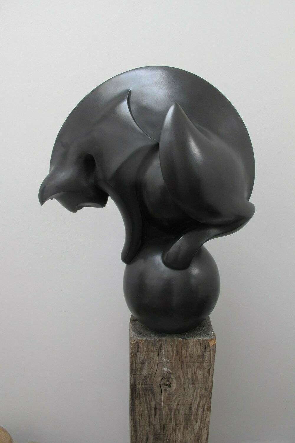 Paul Harvey, Cat on Ball, 2023