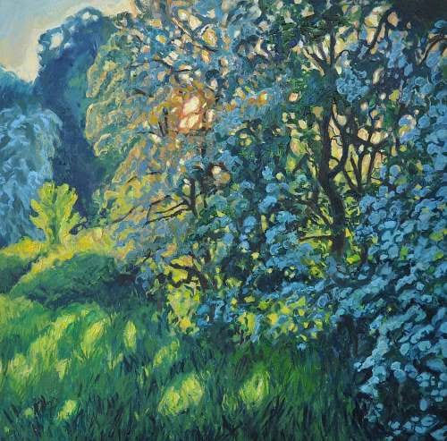 Tom Genders, Hellens Hawthorn