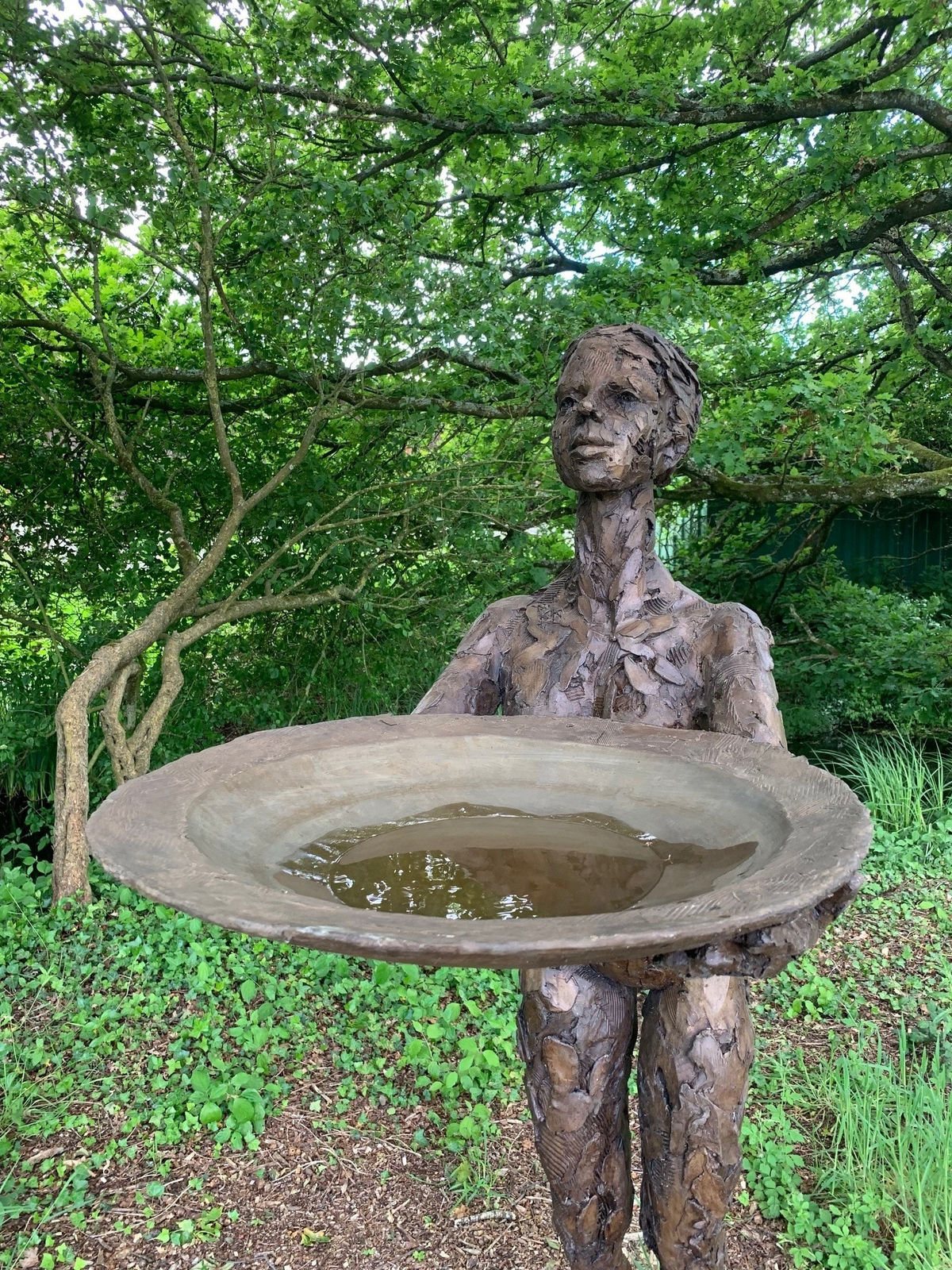 Carol Peace, For the Birds