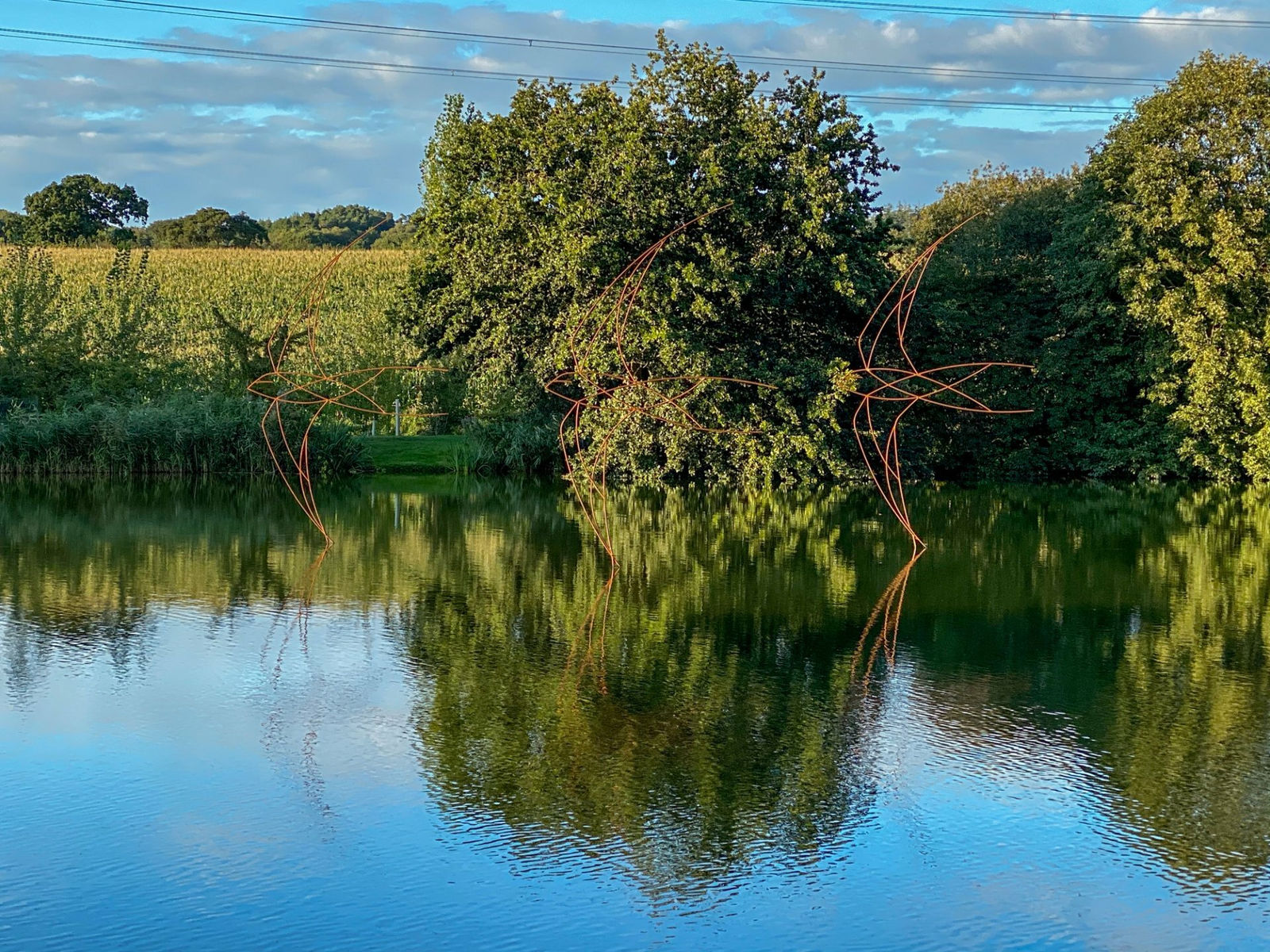 Simon Gudgeon, Swifts