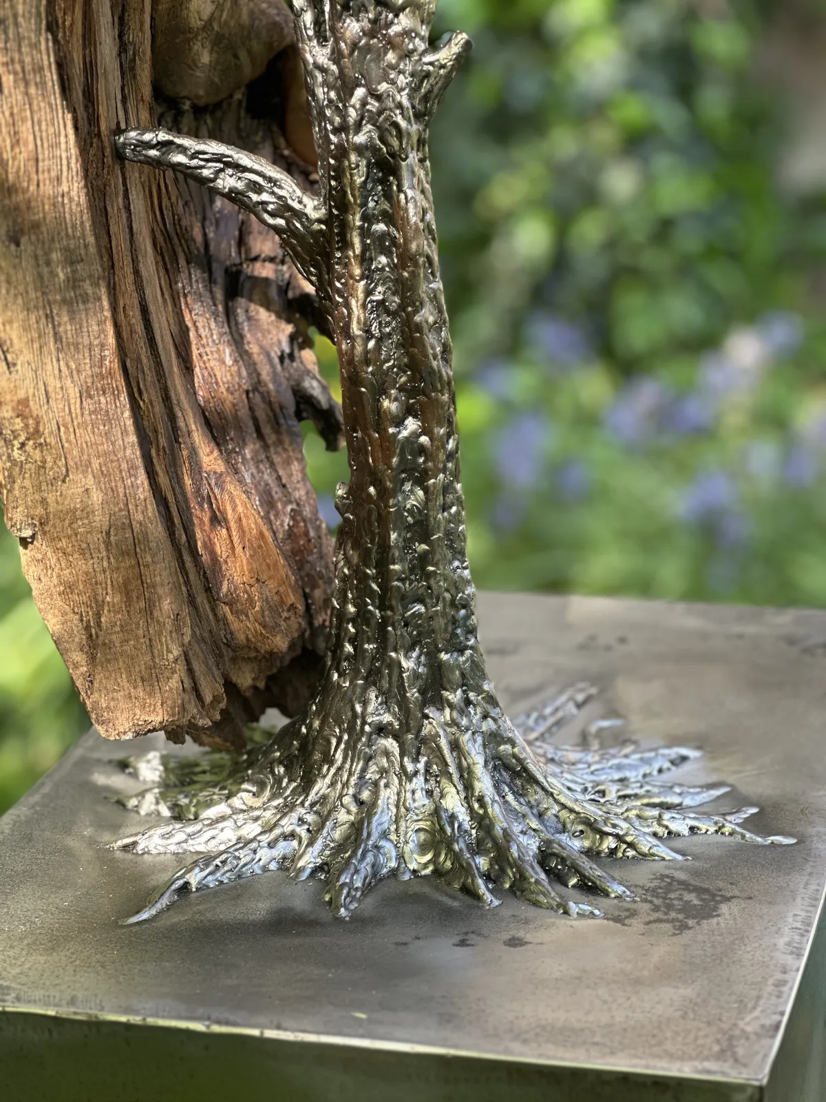 David Cutler, Man of Elm and Flower, 2025