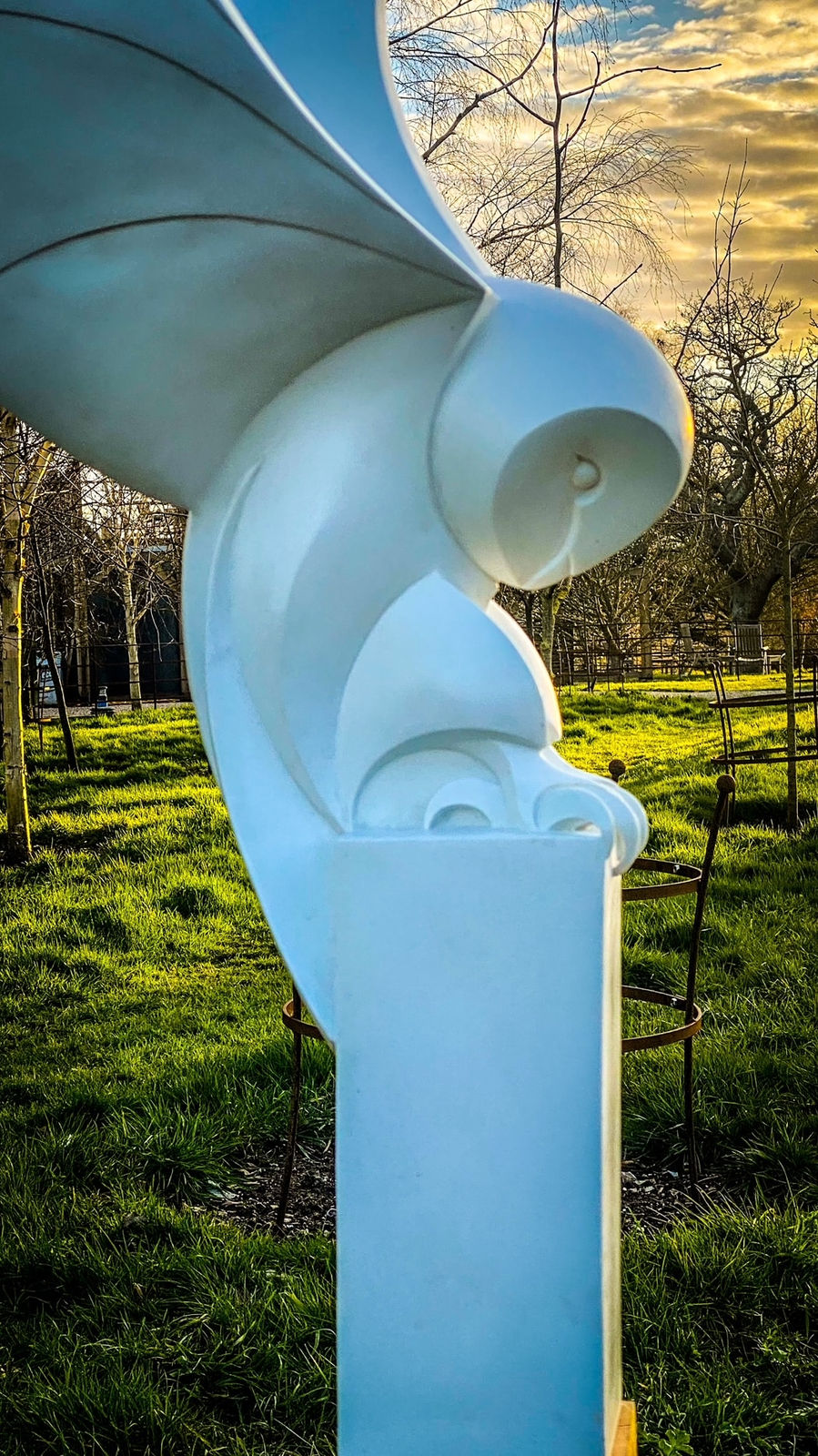 Paul Harvey, Barn Owl Landing, 2024