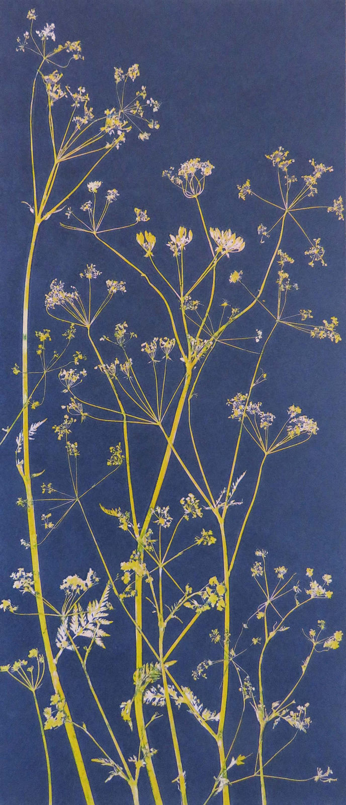 Robin Moorcroft, Wild Edges 2