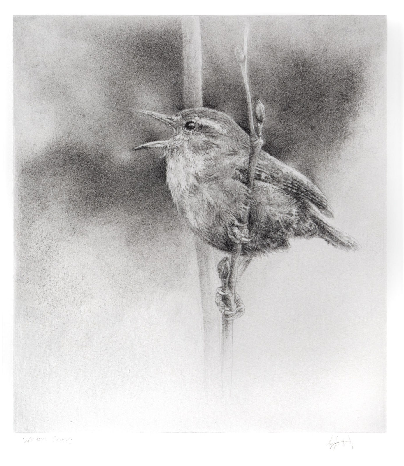 Angela French, Wren Song