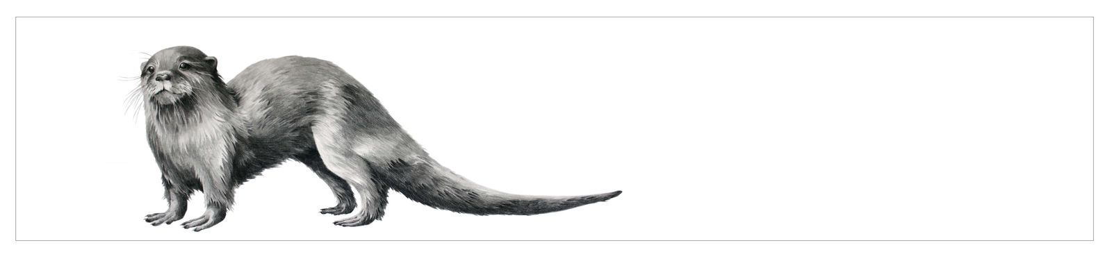 Katy Harrald, Draatsi