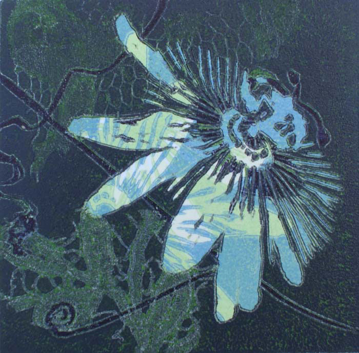 Robin Moorcroft, Passiflora 12