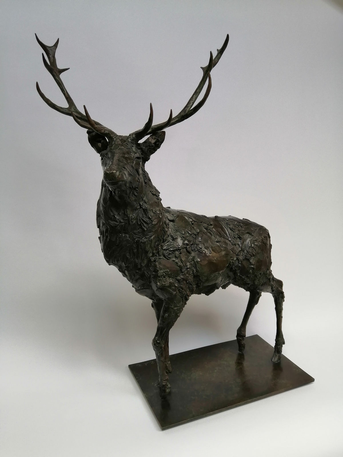 Adam Roud, Stag