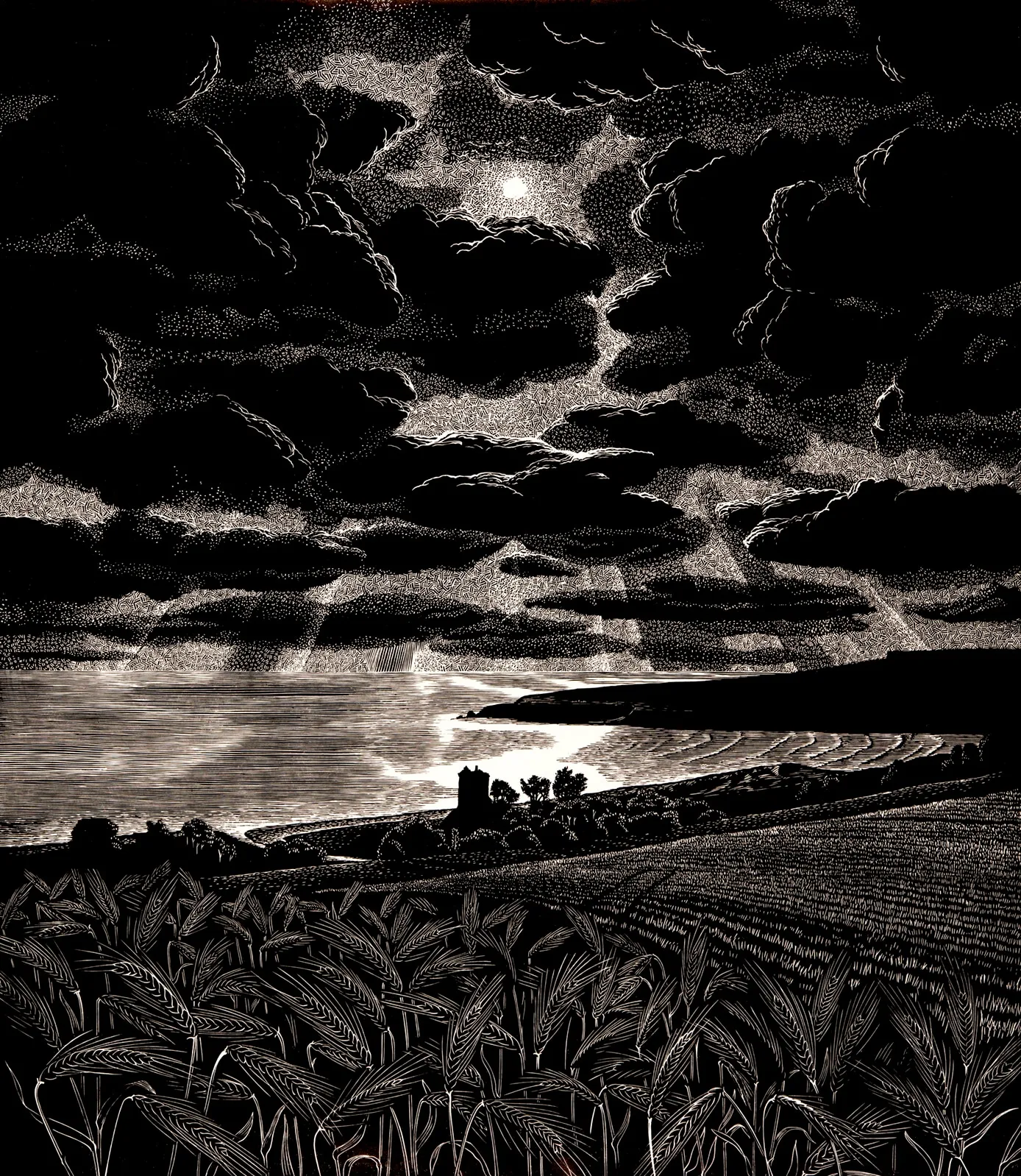 Bryan Angus, Lunan Bay