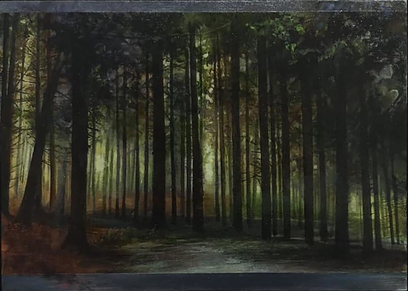 Nerine Tassie, Morning Light Through the Trees