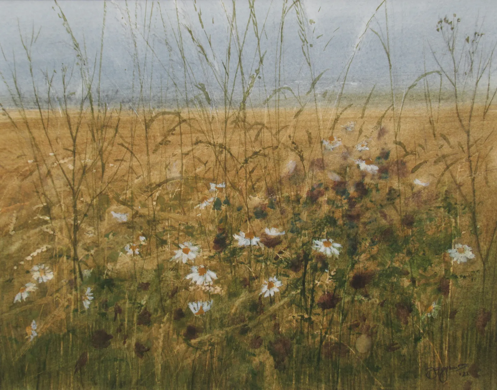 David Johnston RSW, Summer Fields, Arbuthnott