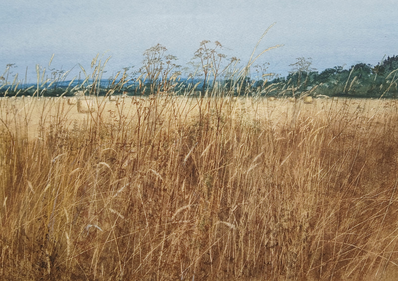 David Johnston RSW, Harvest Fields Edge