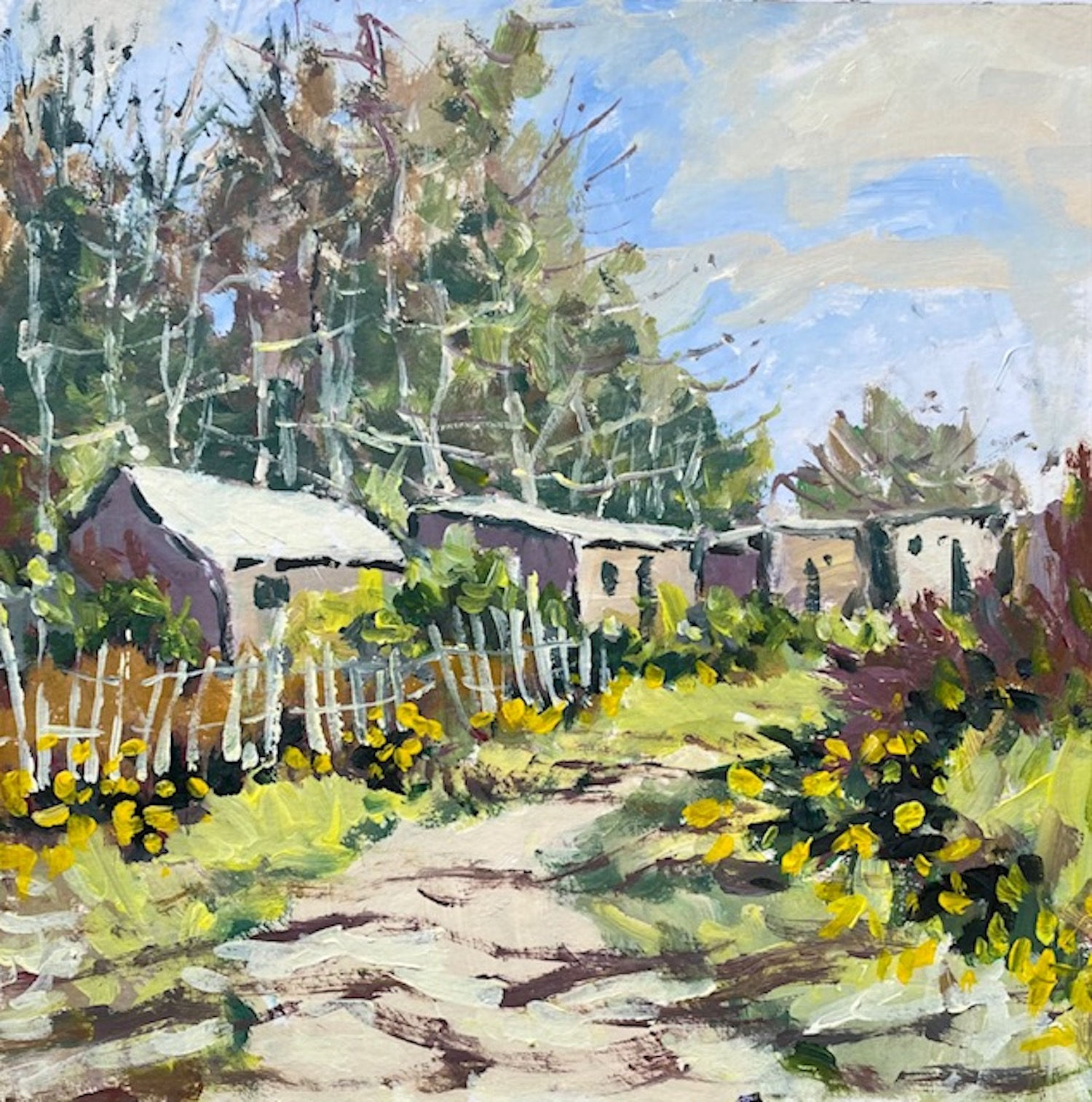 Kathleen Bremner, Garthdee Allotments, May