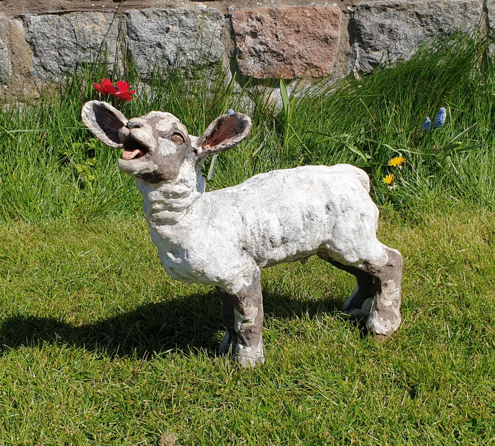 Lesley D McKenzie, Bleating Lamb
