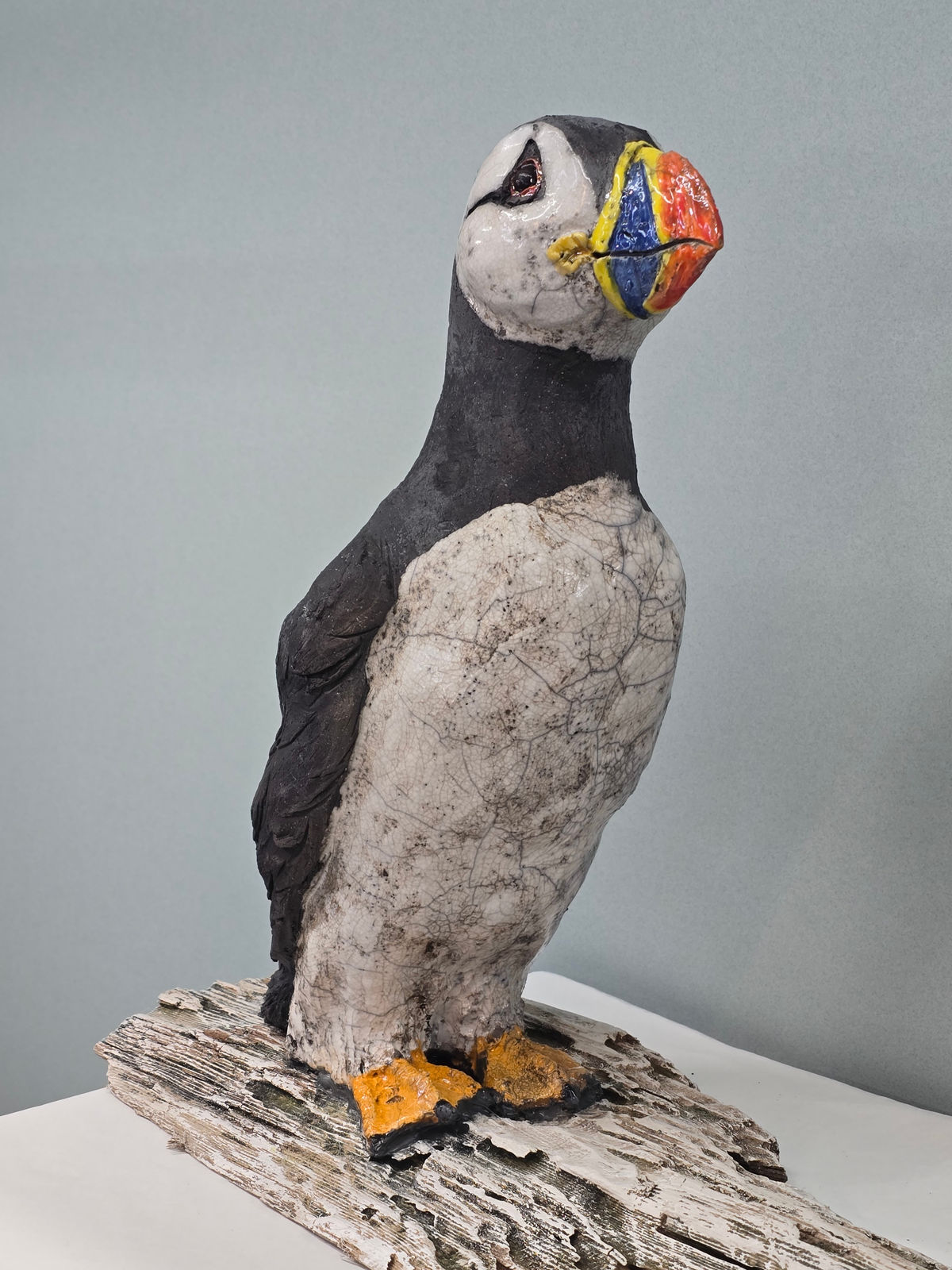 Lesley D McKenzie, Male Puffin