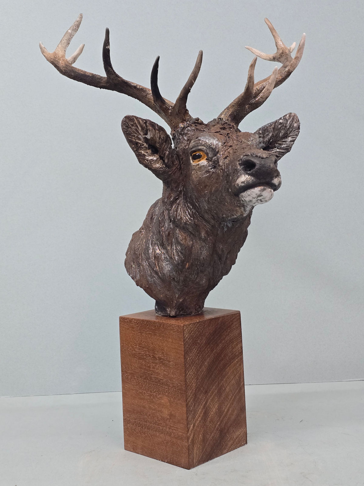 Lesley D McKenzie, Red Deer Stag Bust