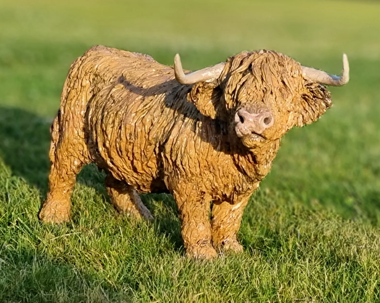 Lesley D McKenzie, Cold Nose