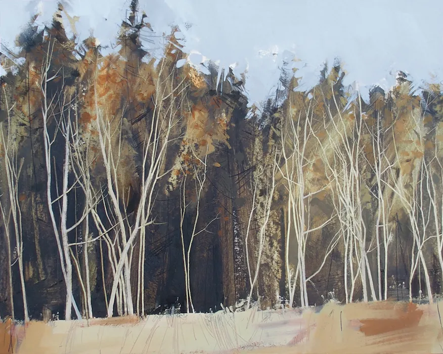 Anna King, Birch Against Spruce