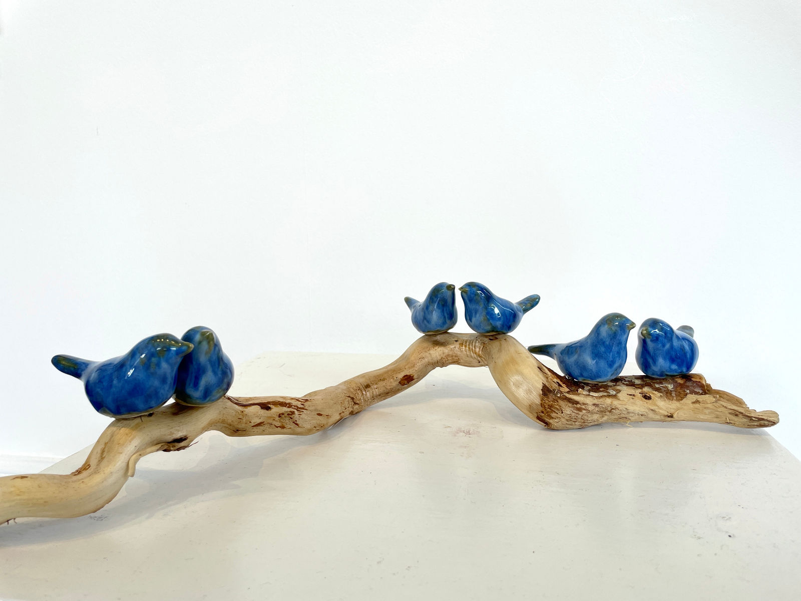 Lois Carson, Perching 6 Blue Birds