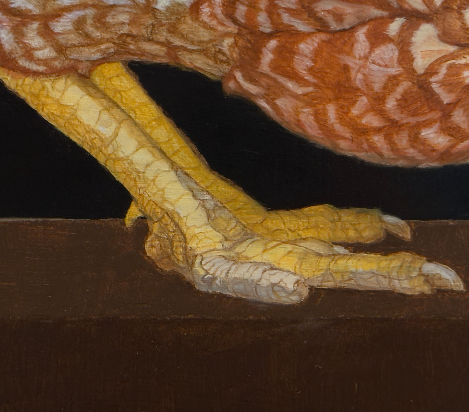 Painting of a pecking chicken