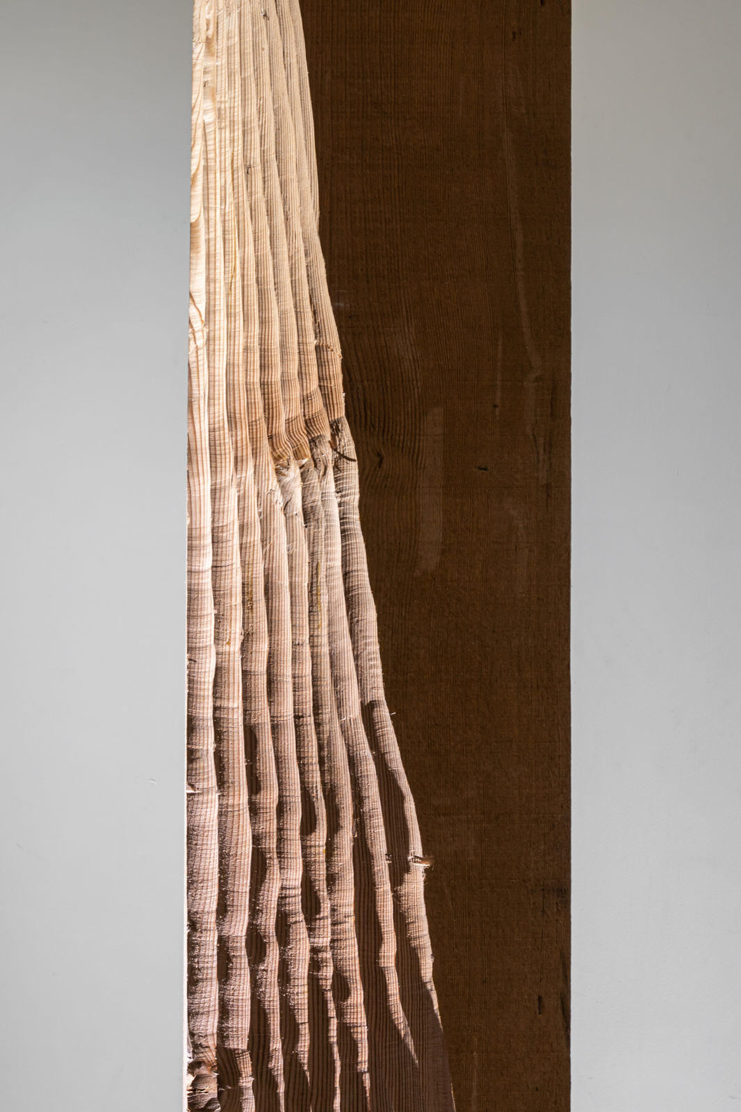 SUN LAH, Skin and flesh, 2021