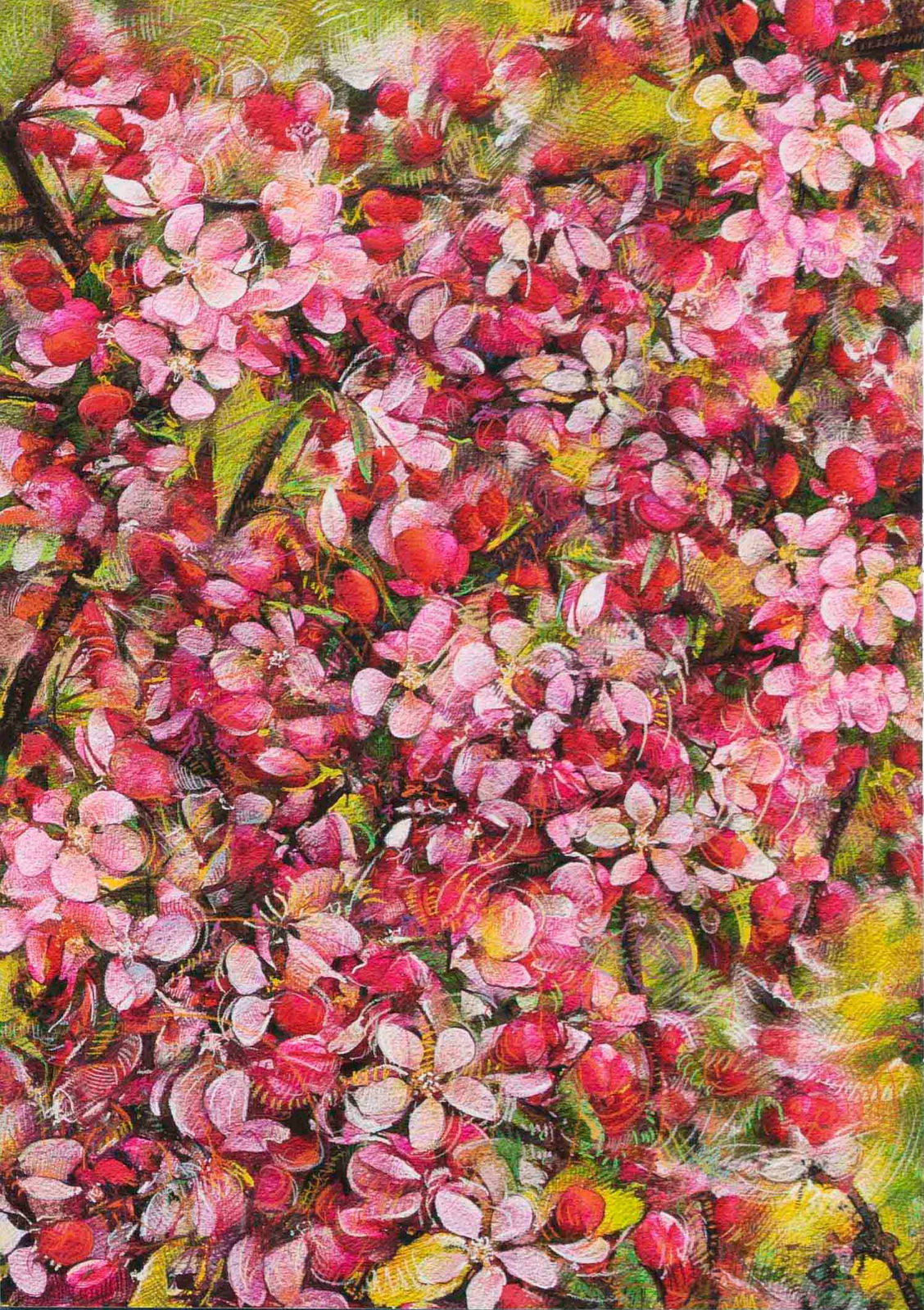 Shwan Dler Qaradaki, Duftende bedrag #10, 2024