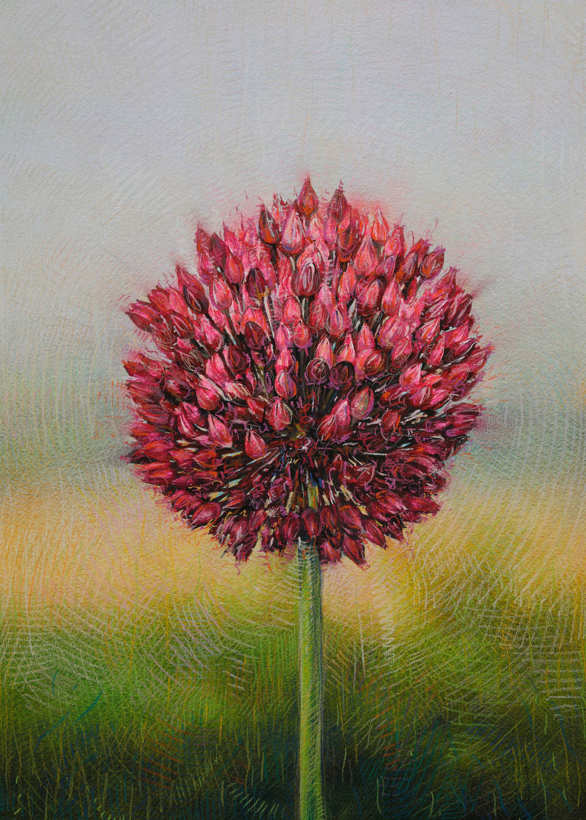 Shwan Dler Qaradaki, Duftende bedrag #6, 2024