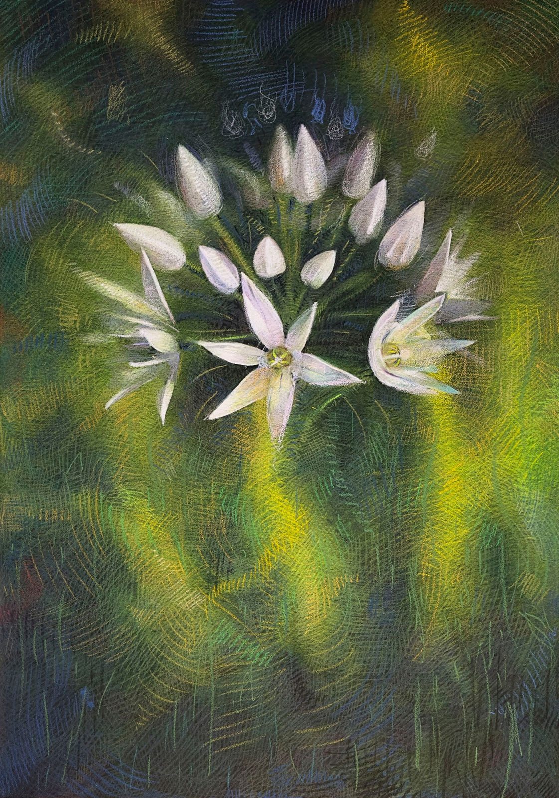 Shwan Dler Qaradaki, Duftende bedrag #3, 2024