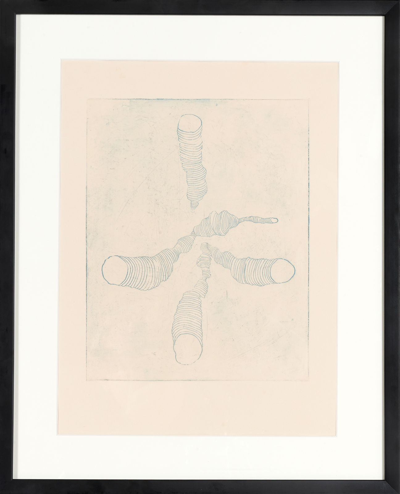 Kira Shatylo, RØTTER, 2026