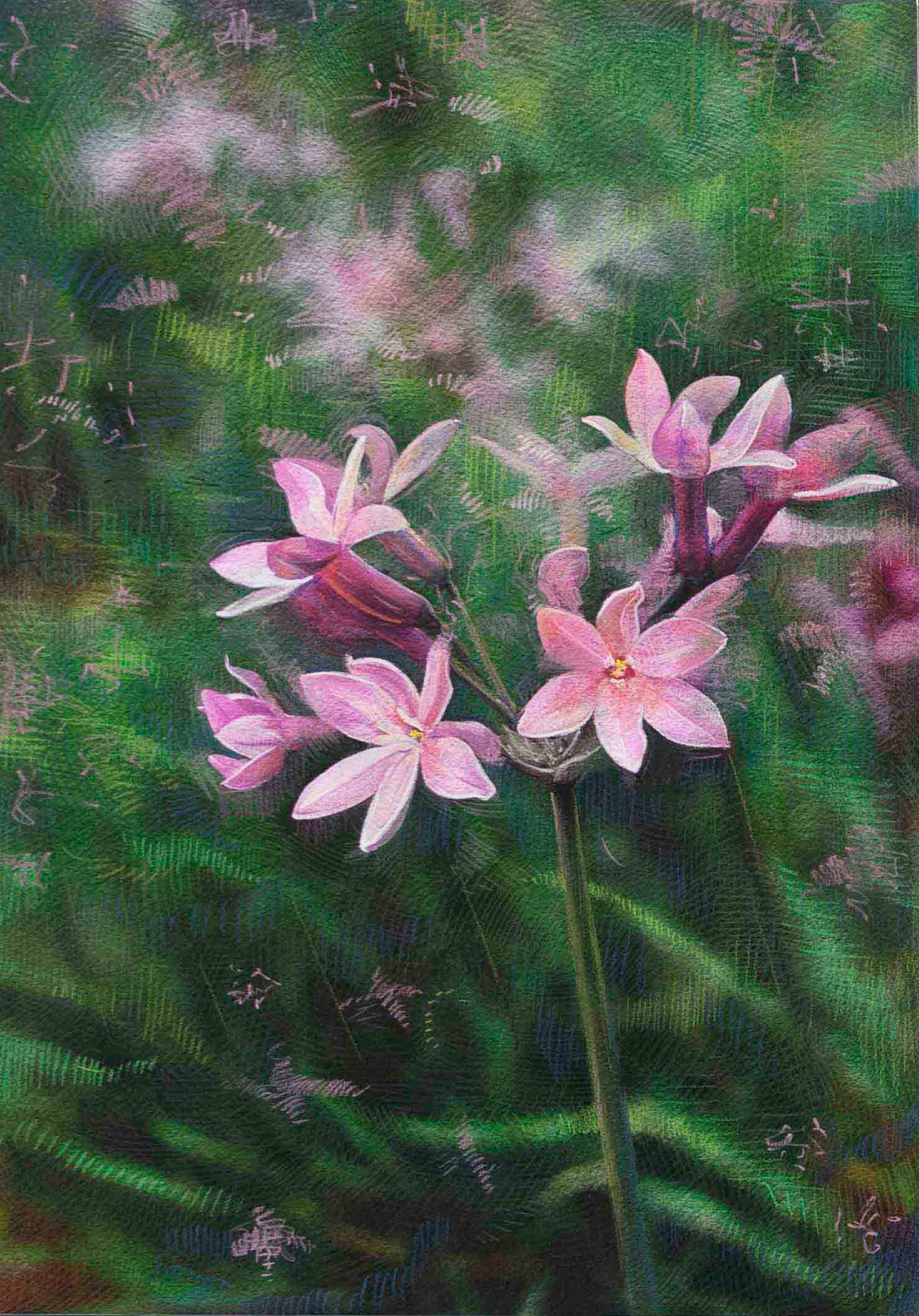 Shwan Dler Qaradaki, Duftende bedrag #7, 2024