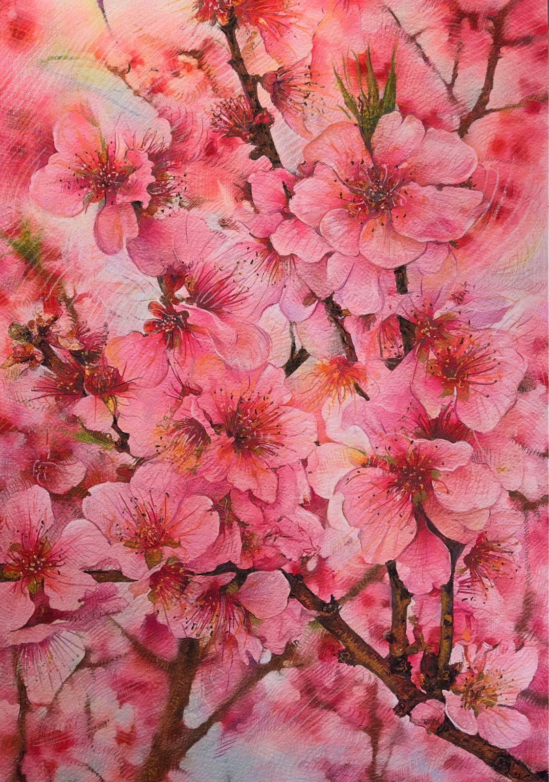 Shwan Dler Qaradaki, Duftende bedrag #12, 2024