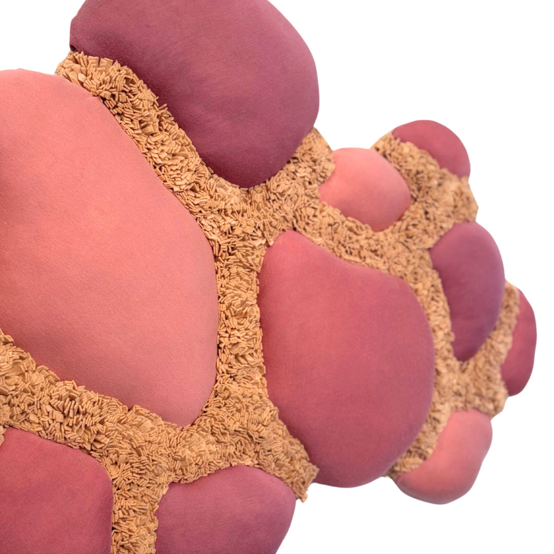 Sienna Martz, Supple, 2025