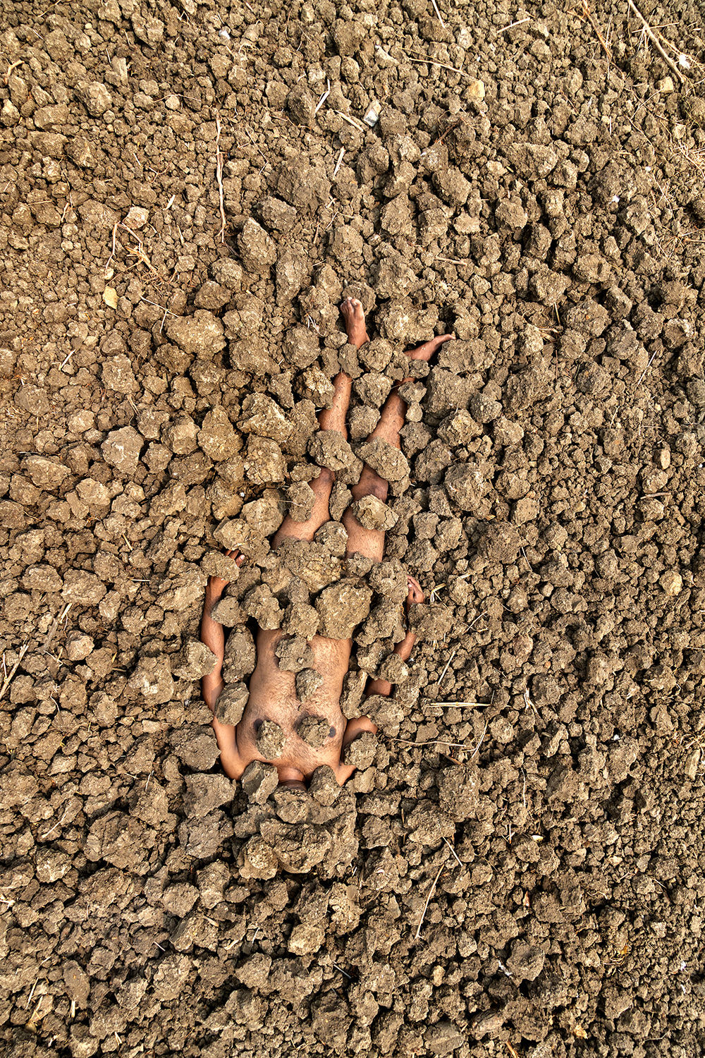 Madhu Das, A root in a dry ground, 2022