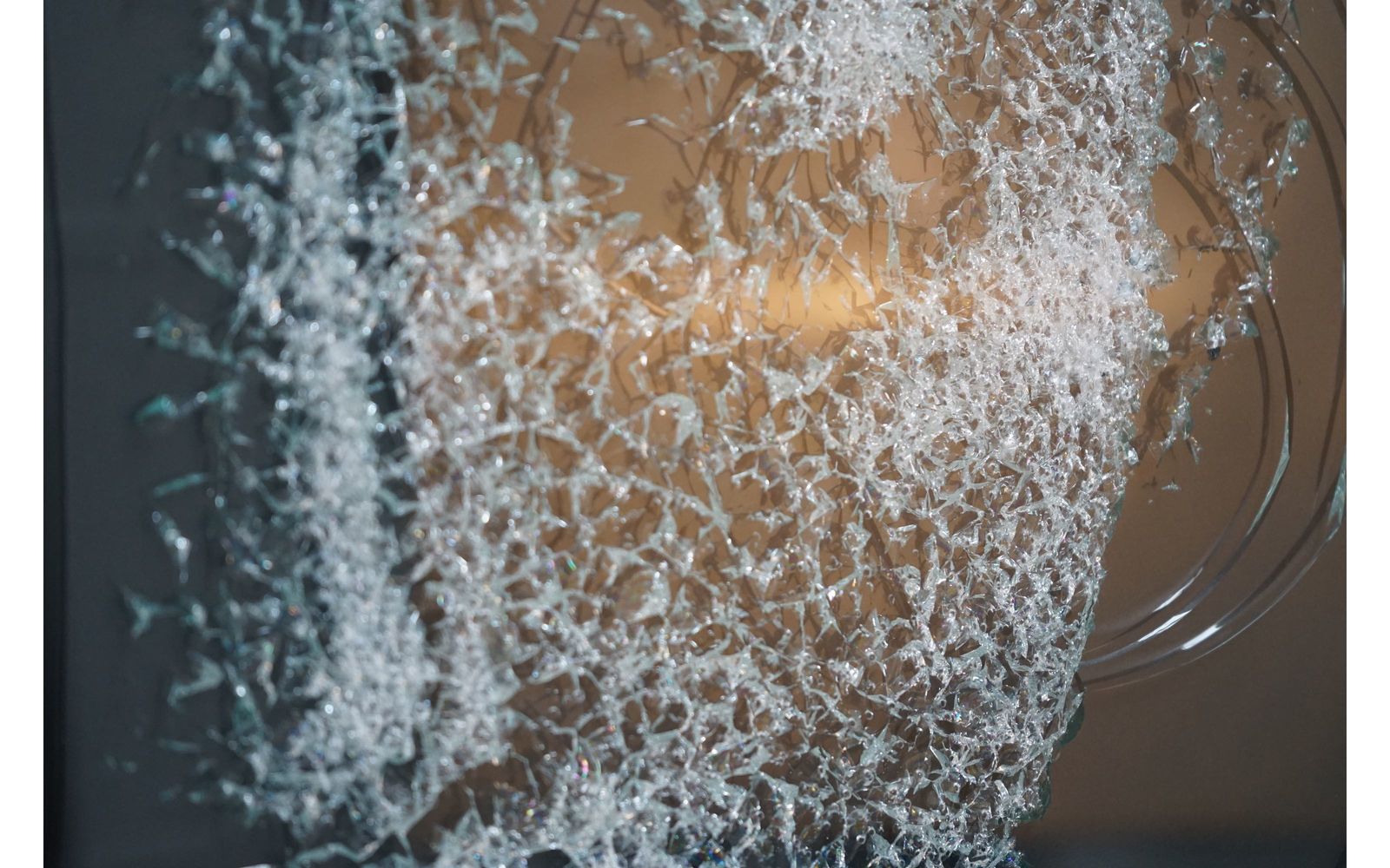 Martijn de Vries, Marilyn, 2022