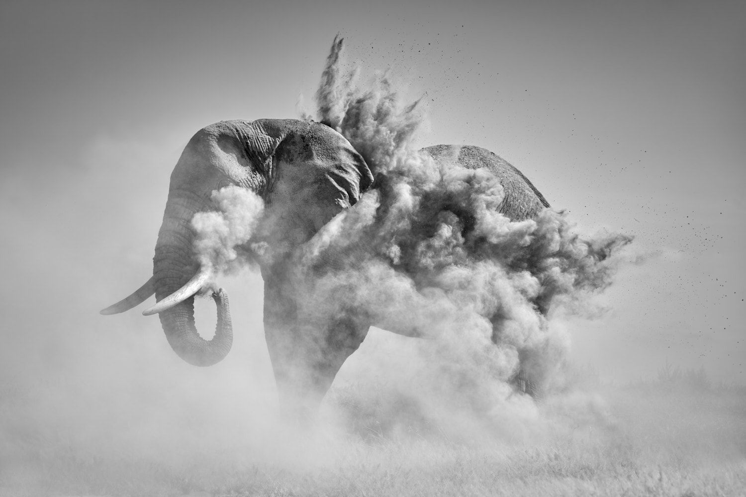 Tom D. Jones, Dust Explosion