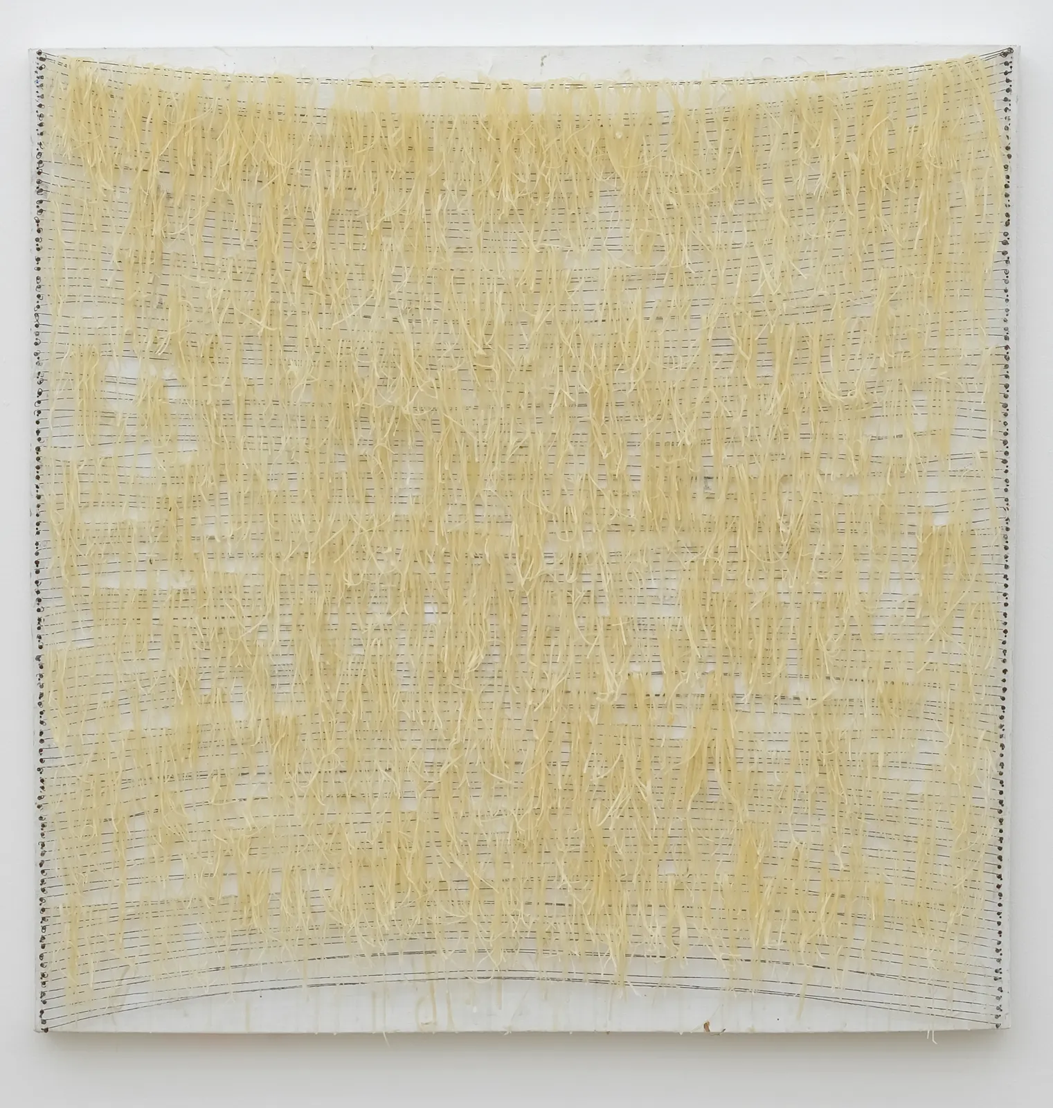 Udomsak Krisanamis, Long Live Nonsenses, 1989-2016