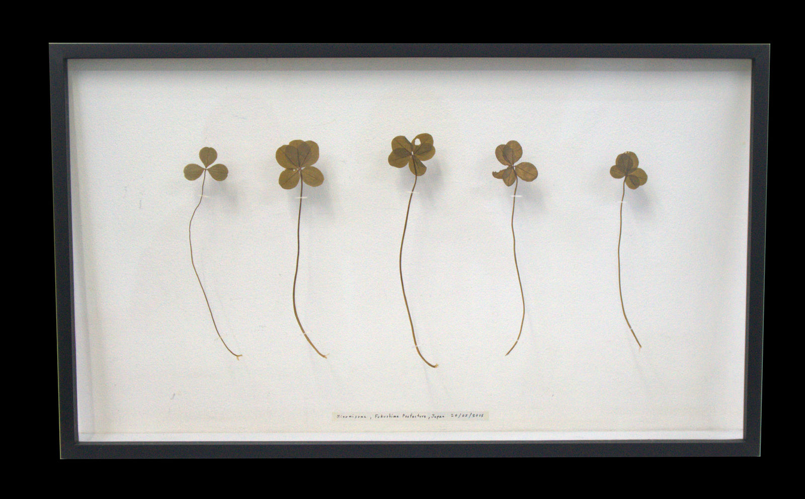 Ruangsak Anuwatwimon, MONSTROUS PHENOMENON, 2015