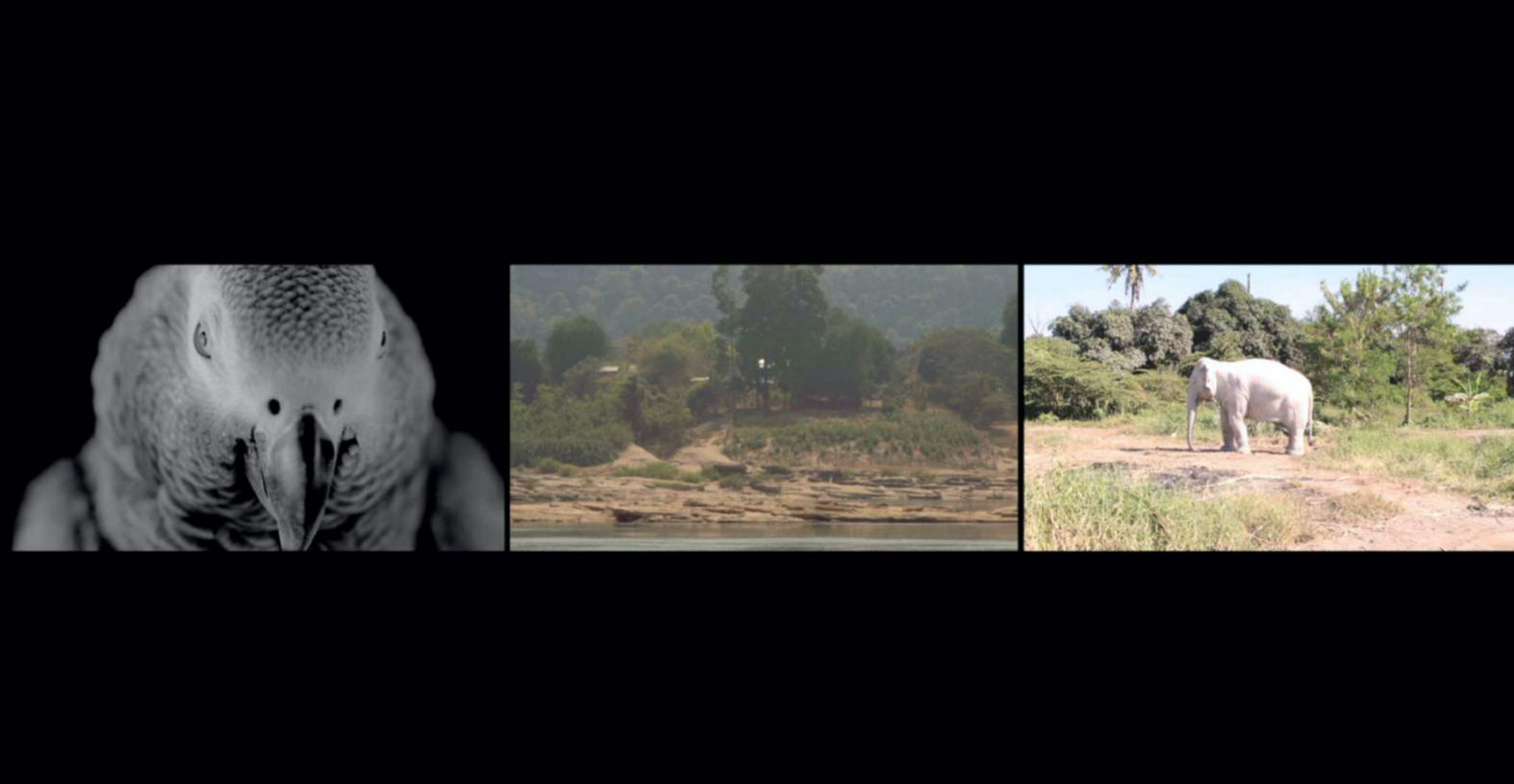 Wantanee Siripattananuntakul, Making the Unknown Known, 2023