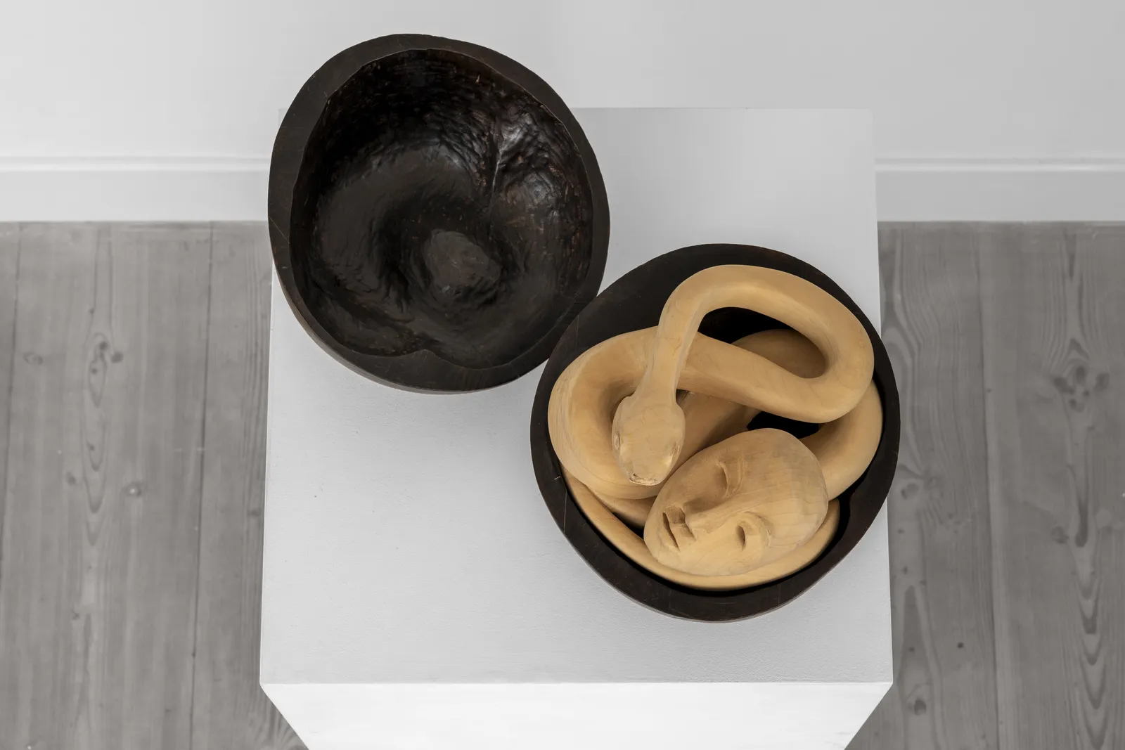 Kalliopi Lemos, Snakes and Apples #1, 2012