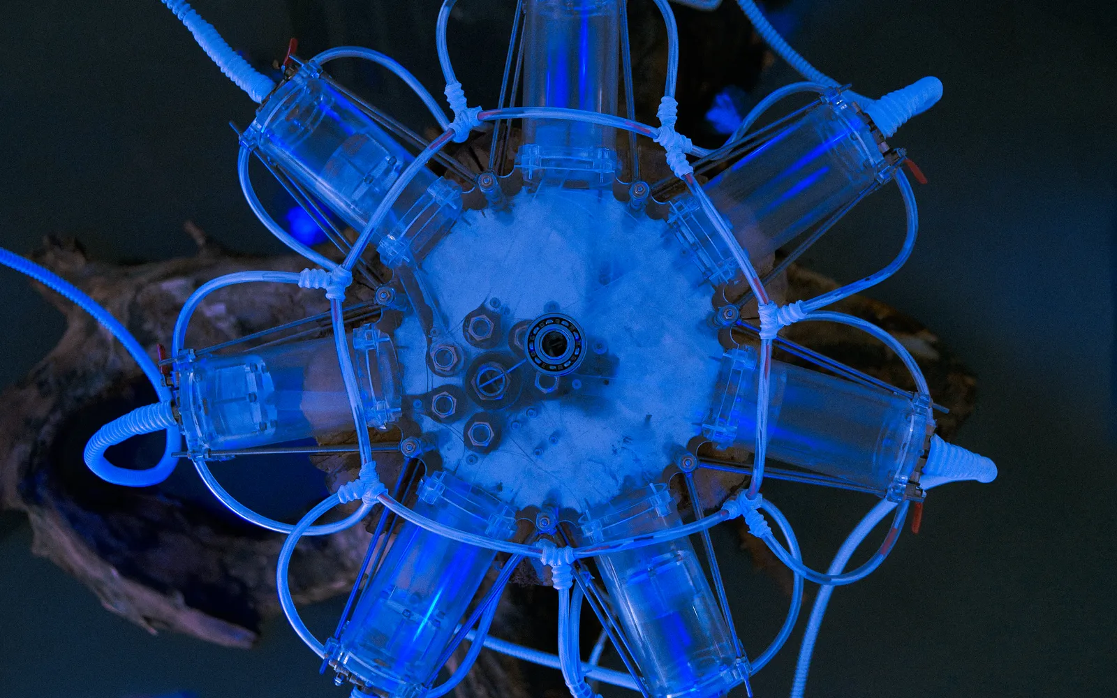 Elnara Nasirli, Air Oasis: BreathCore-7, 2024