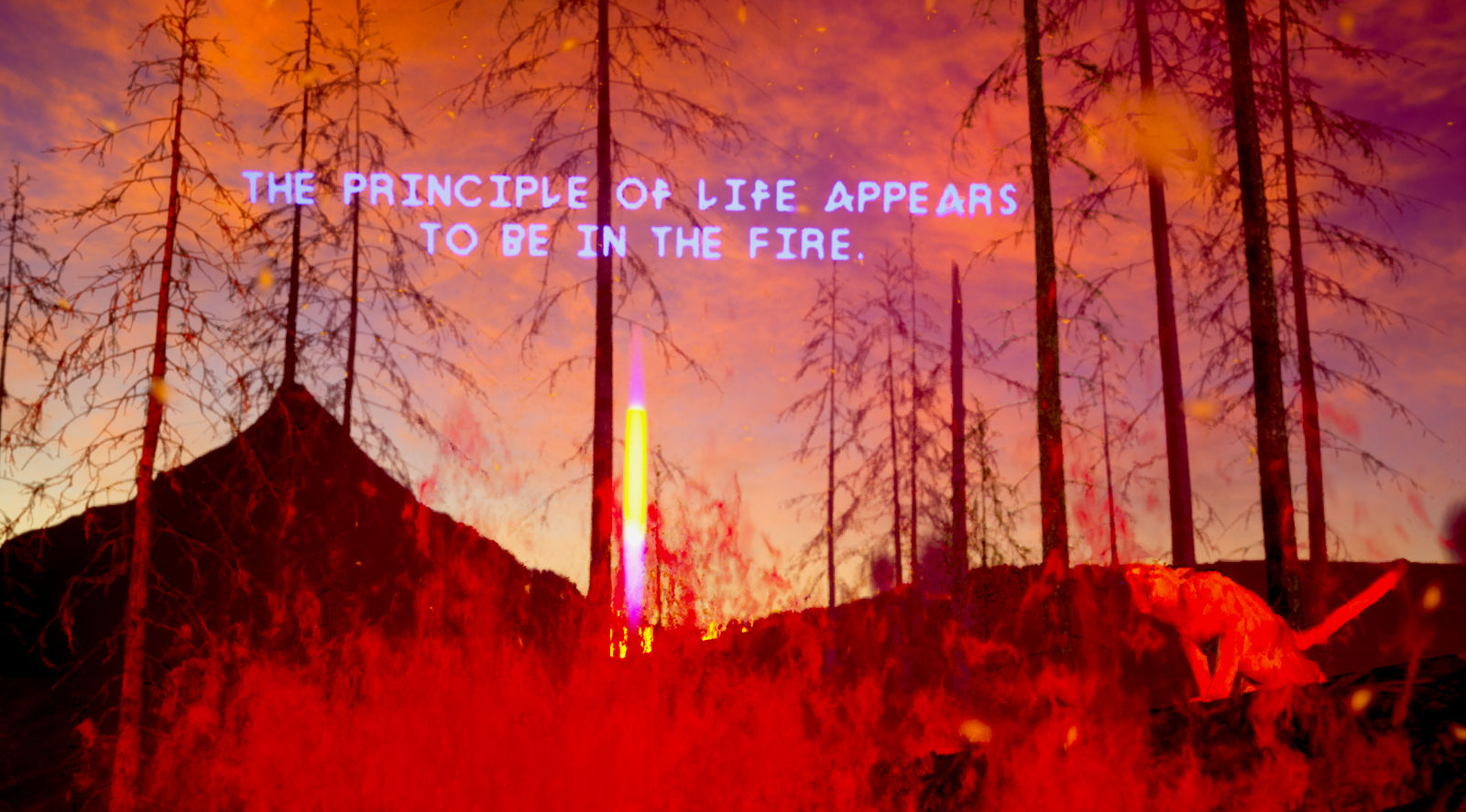 Alice Bucknell, The Alluvials Level 4: Fire Walk With Me, 2024